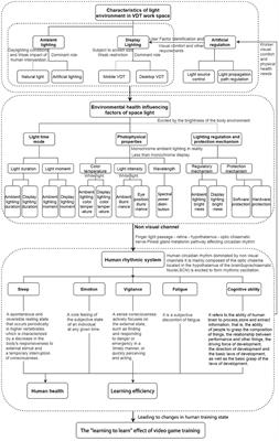 A review of the effect of the light environment of the VDT workspace on the “learning to learn” effect of video game training
